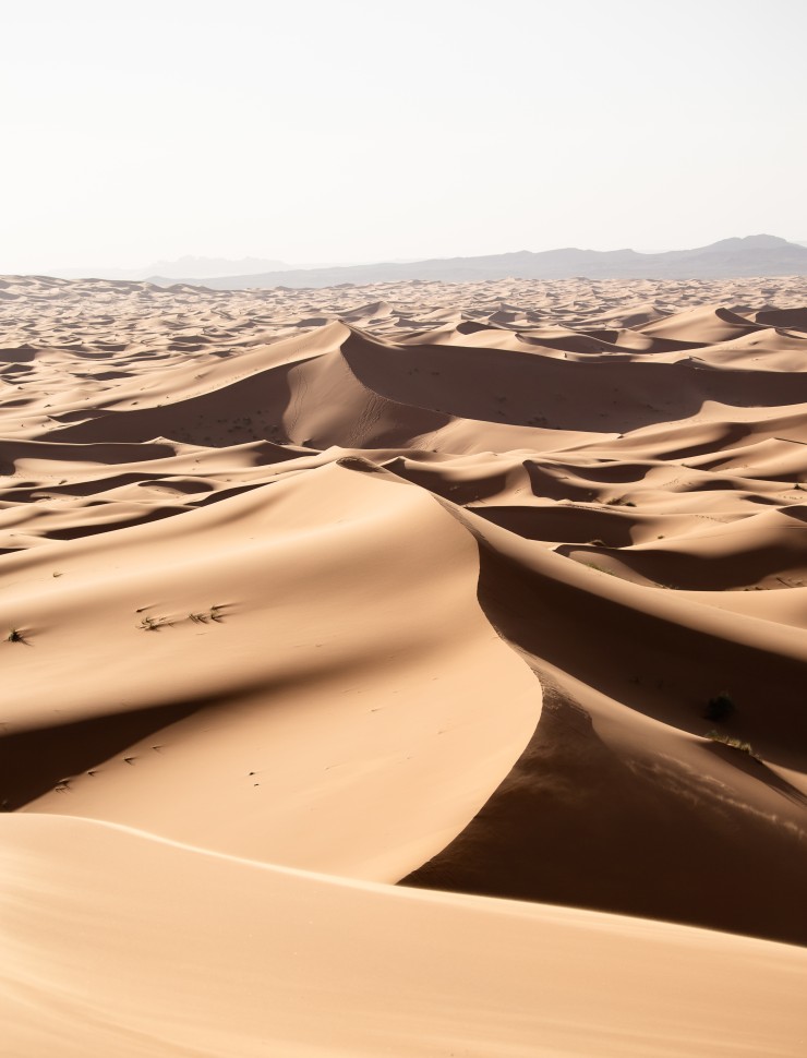 woestijn dubai