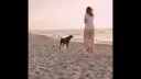 Preview image for the video embed "Video Magere Schorre".